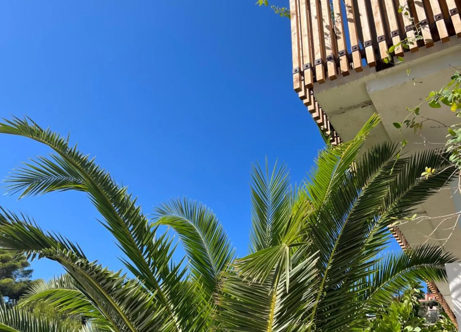 Villa Paradis Les Issambres Hotel