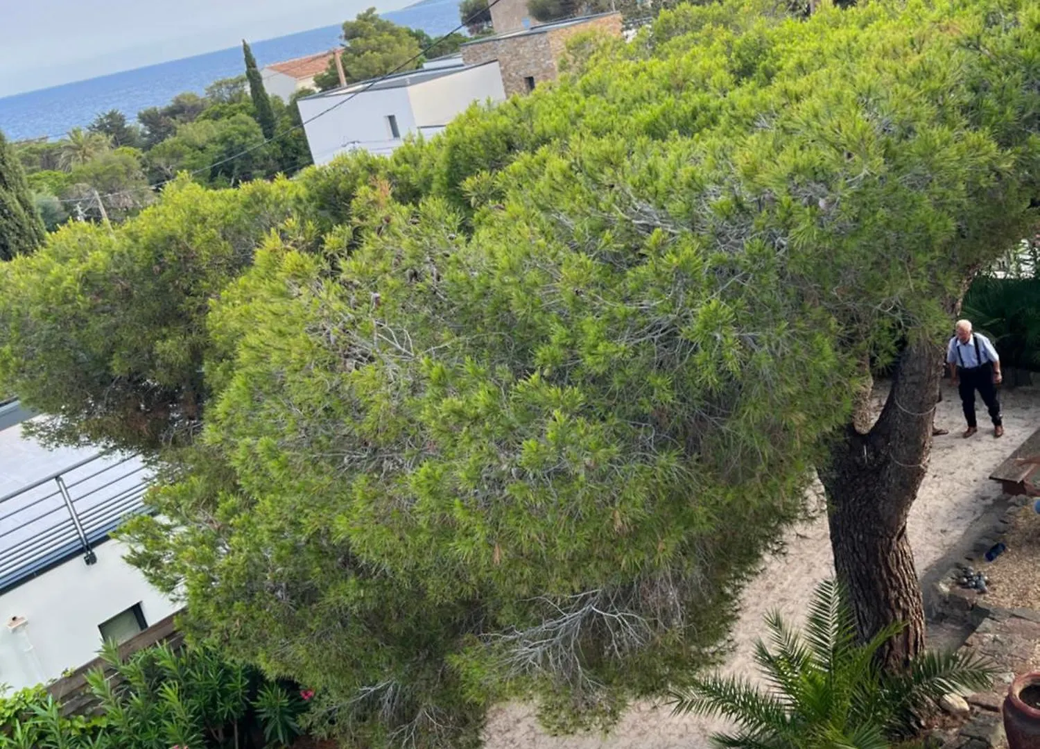 Villa Paradis Les Issambres Hotel